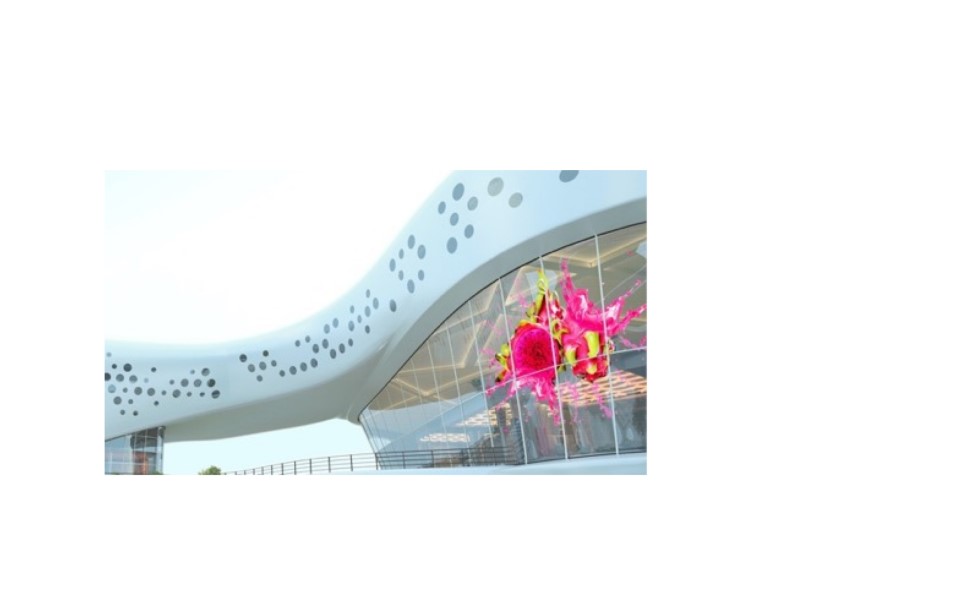 透明屏UVS-3/ 10(图3)